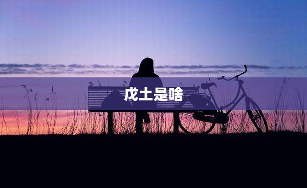 戊土是啥