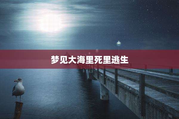 梦见大海里死里逃生
