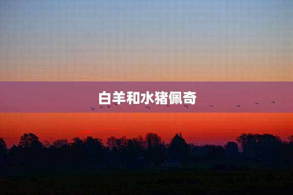 白羊和水猪佩奇