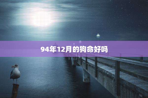 94年12月的狗命好吗
