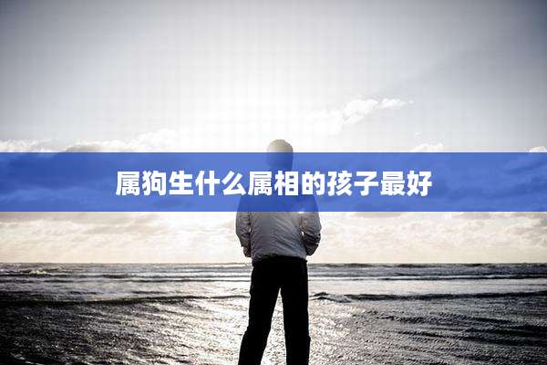 属狗生什么属相的孩子最好