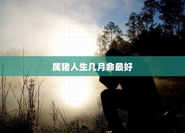 属猪人生几月命最好