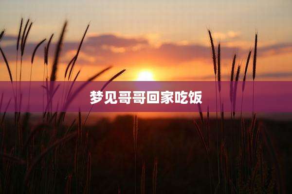 梦见哥哥回家吃饭