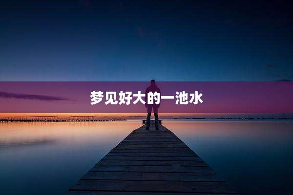 梦见好大的一池水
