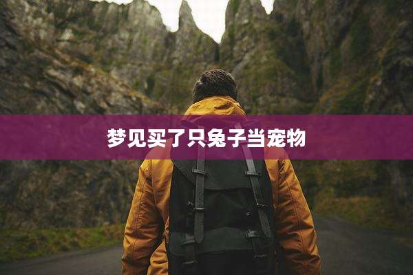 梦见买了只兔子当宠物