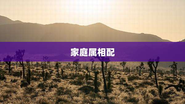 家庭属相配