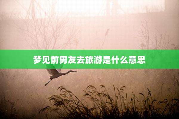 梦见前男友去旅游是什么意思