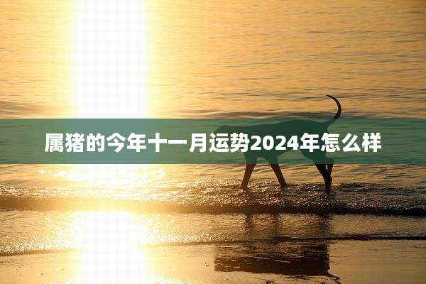 属猪的今年十一月运势2024年怎么样
