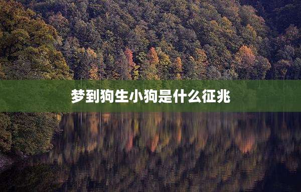 梦到狗生小狗是什么征兆