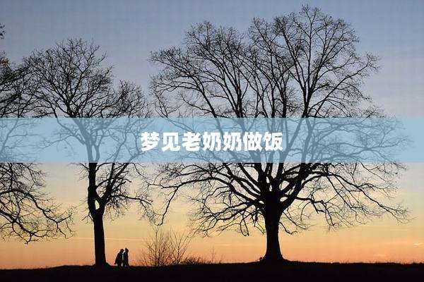 梦见老奶奶做饭