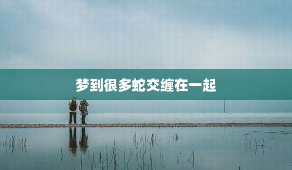 梦到很多蛇交缠在一起