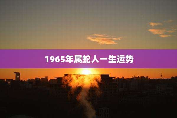 1965年属蛇人一生运势