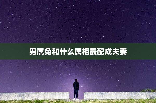 男属兔和什么属相最配成夫妻