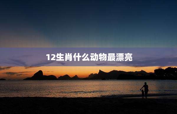 12生肖什么动物最漂亮