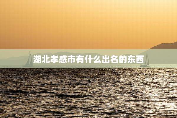 湖北孝感市有什么出名的东西
