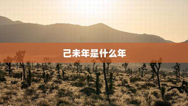 己未年是什么年