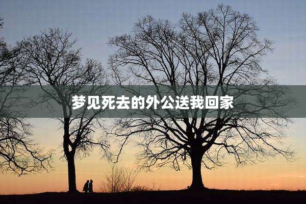梦见死去的外公送我回家