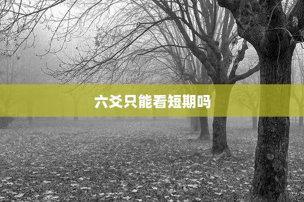 六爻只能看短期吗