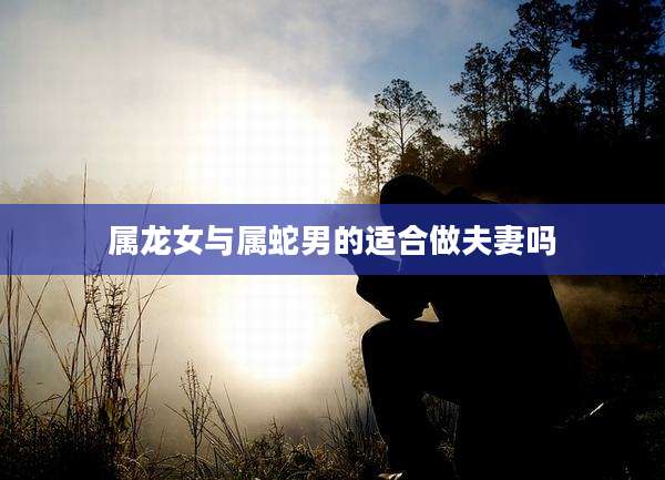 属龙女与属蛇男的适合做夫妻吗