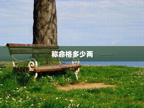 称命格多少两
