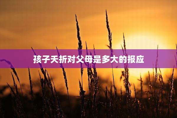 孩子夭折对父母是多大的报应