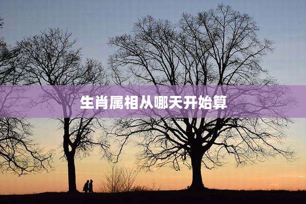 生肖属相从哪天开始算