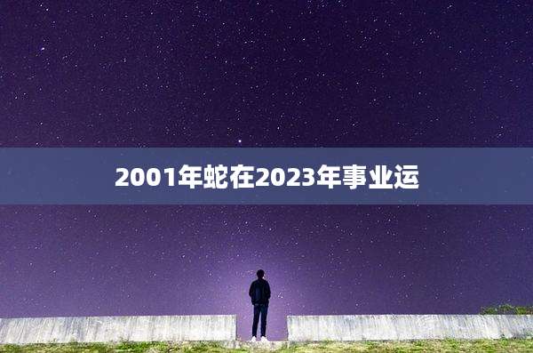 2001年蛇在2023年事业运