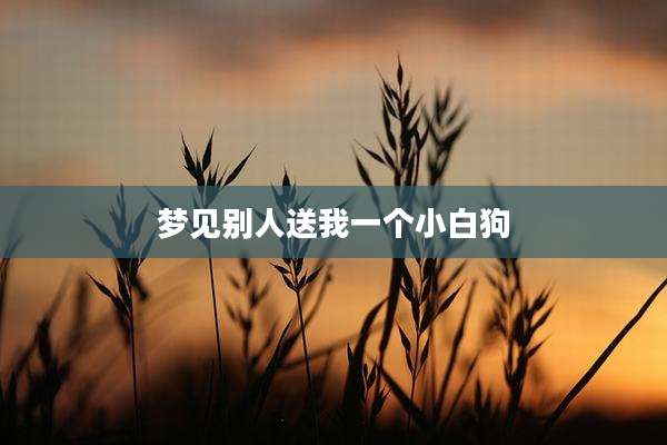 梦见别人送我一个小白狗