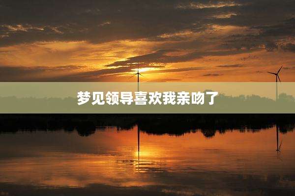 梦见领导喜欢我亲吻了