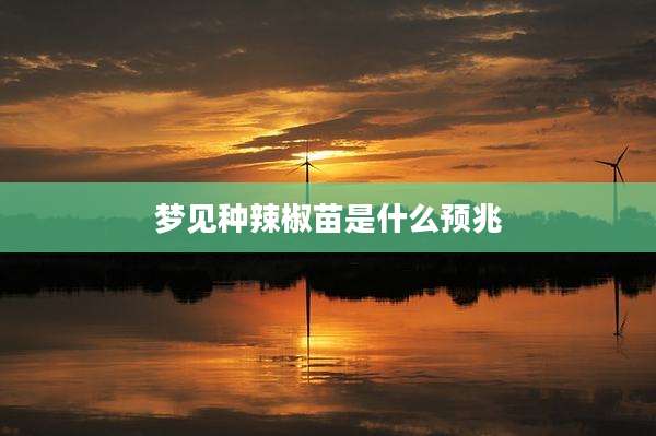 梦见种辣椒苗是什么预兆