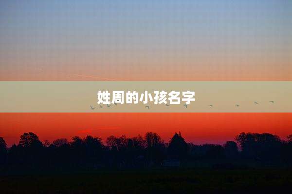姓周的小孩名字