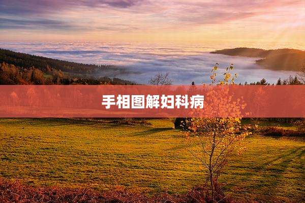 手相图解妇科病