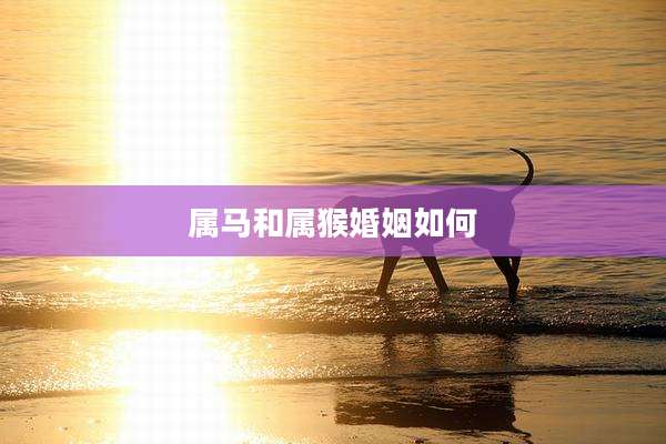 属马和属猴婚姻如何