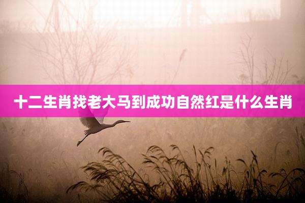 十二生肖找老大马到成功自然红是什么生肖