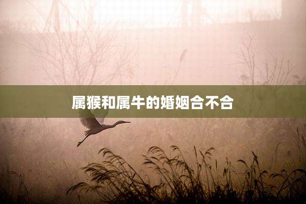 属猴和属牛的婚姻合不合