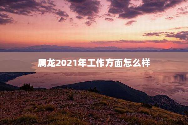 属龙2021年工作方面怎么样