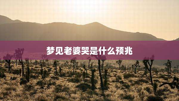 梦见老婆哭是什么预兆