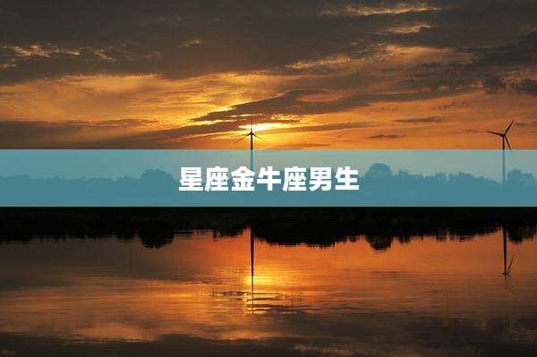 星座金牛座男生