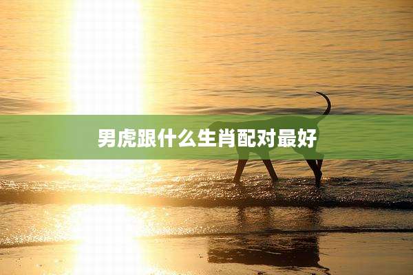 男虎跟什么生肖配对最好