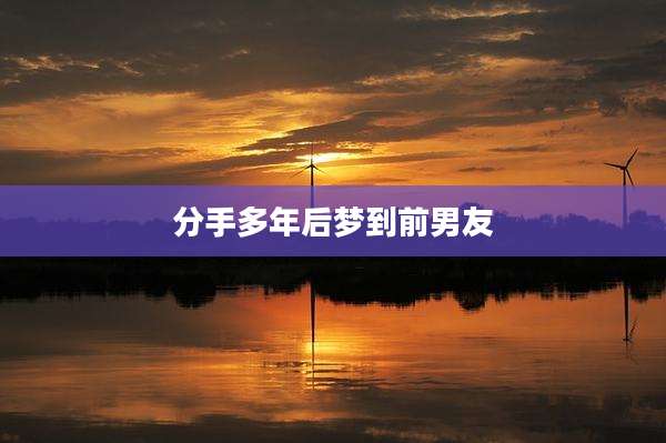 分手多年后梦到前男友
