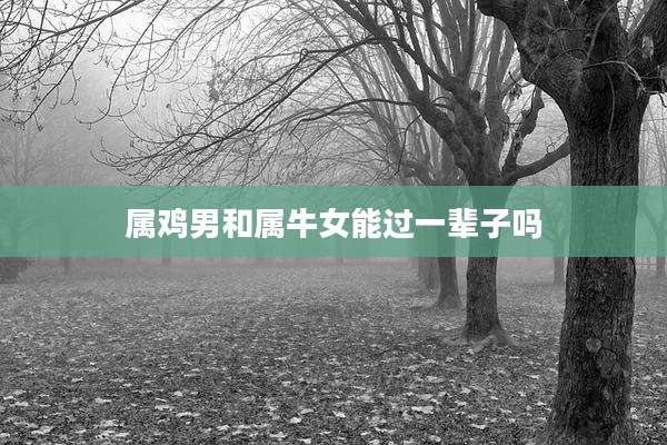 属鸡男和属牛女能过一辈子吗