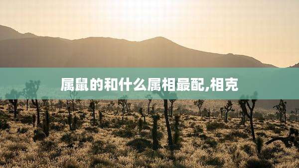 属鼠的和什么属相最配,相克