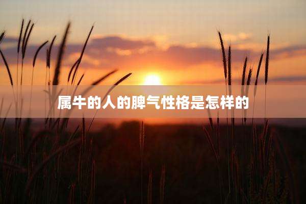 属牛的人的脾气性格是怎样的