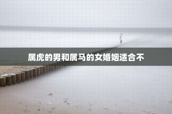 属虎的男和属马的女婚姻适合不
