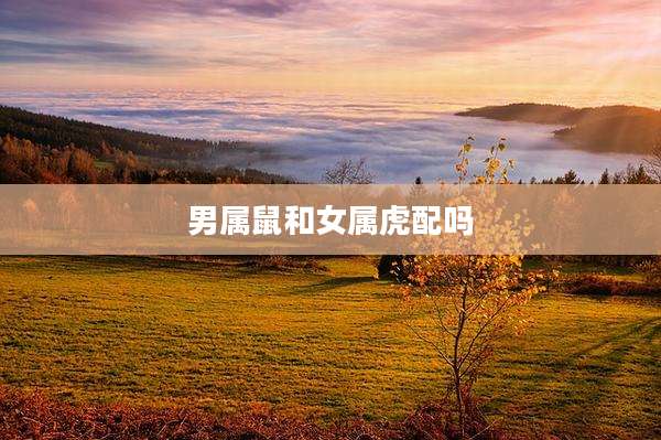 男属鼠和女属虎配吗