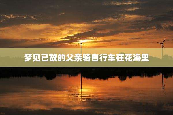 梦见已故的父亲骑自行车在花海里