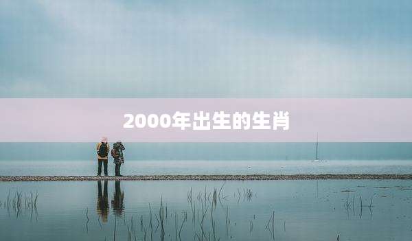 2000年出生的生肖