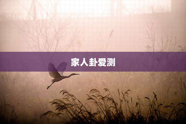家人卦爱测