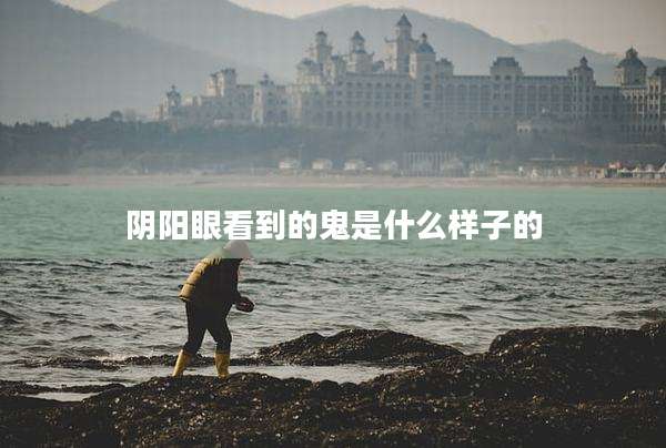 阴阳眼看到的鬼是什么样子的