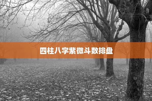 四柱八字紫微斗数排盘